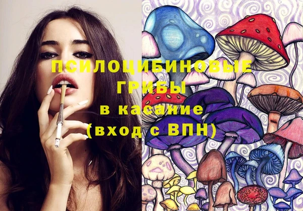 mdma Каменка