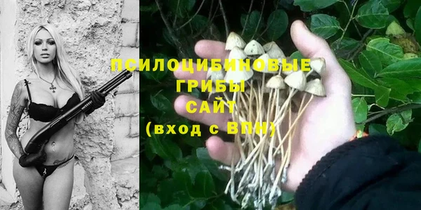 а пвп мука Каменногорск