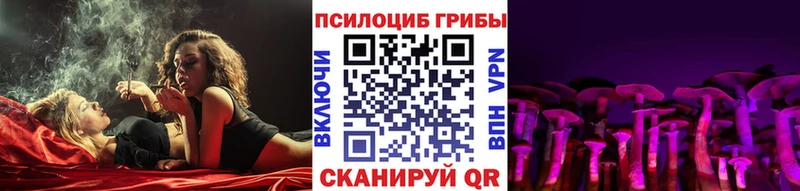 Купить где  Боровск  Псилоцибиновые грибы Psilocybe 